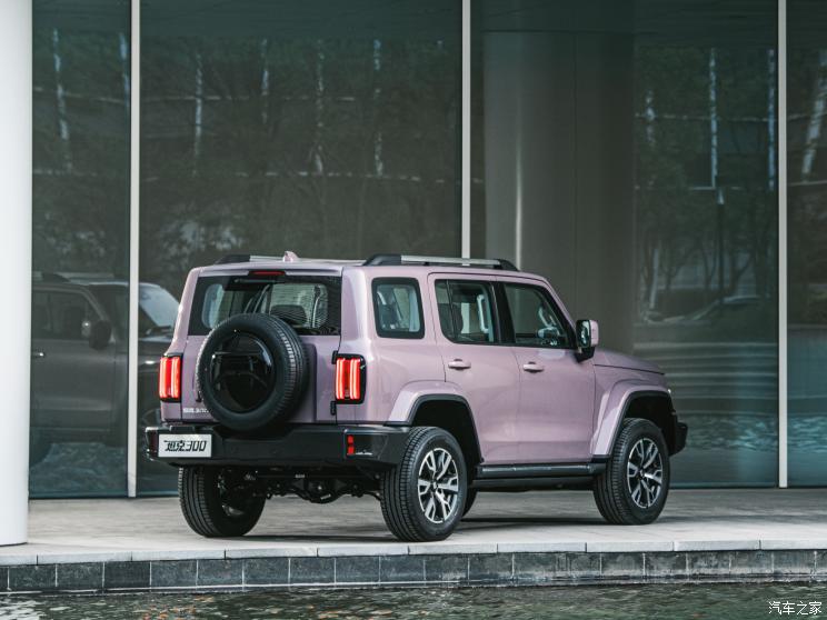 長(zhǎng)城汽車(chē) 坦克300 2021款 城市版