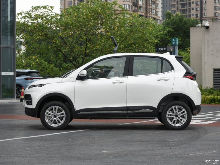 大運汽車 悅虎 2022款 30.66kWh 兩驅標準版