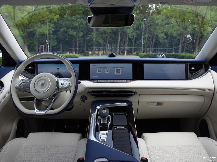 嵐圖汽車 嵐圖FREE 2021款 四驅純電版專屬豪華套裝