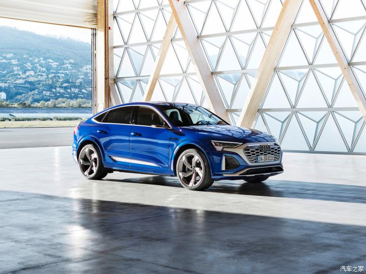 奧迪(進(jìn)口) 奧迪SQ8 e-tron Sportback 2023款 基本型