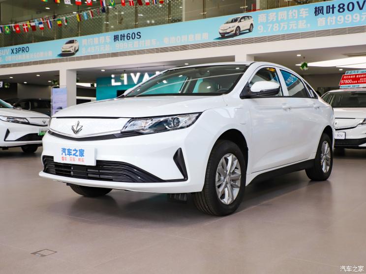睿藍汽車 楓葉60s PRO 2022款 滿電版 磷酸鐵鋰