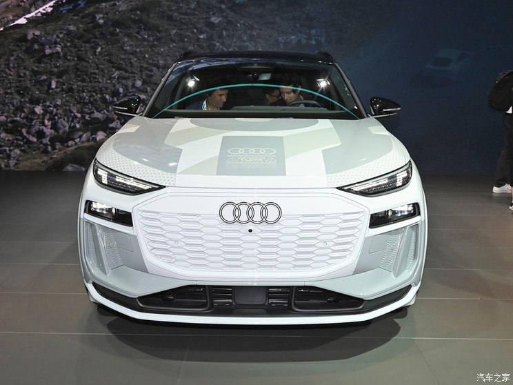 奧迪(進口) 奧迪Q6 e-tron(海外) 2023款 基本型